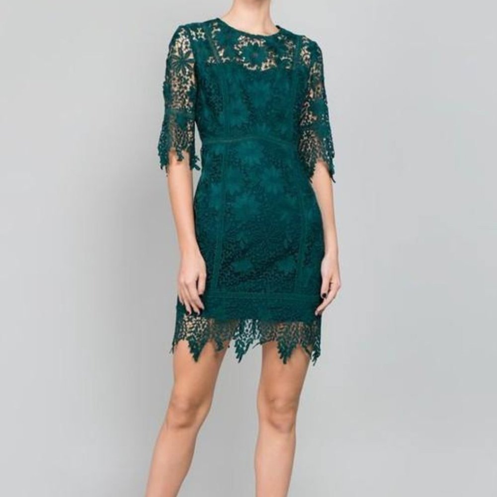 Minuet Lace fitted sheath dress